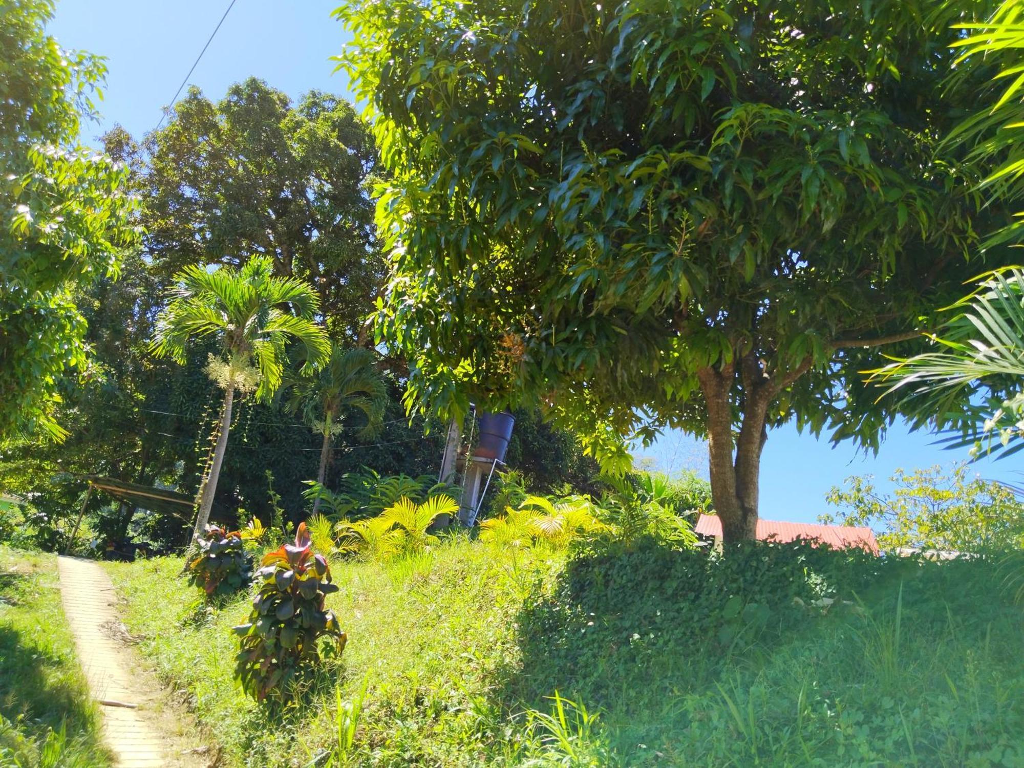 Casa Magica Villa Minca Ngoại thất bức ảnh